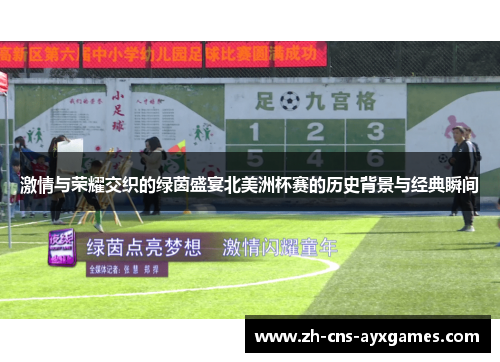 激情与荣耀交织的绿茵盛宴北美洲杯赛的历史背景与经典瞬间 激情与荣耀交织的绿茵盛宴北美洲杯赛的历史背景与经典瞬间
