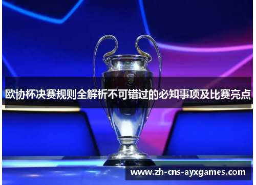 欧协杯决赛规则全解析不可错过的必知事项及比赛亮点 欧协杯决赛规则全解析不可错过的必知事项及比赛亮点