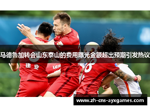 马德鲁加转会山东泰山的费用曝光金额超出预期引发热议 马德鲁加转会山东泰山的费用曝光金额超出预期引发热议